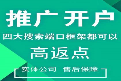 百度推广公司——大品牌背后的广告策略揭秘